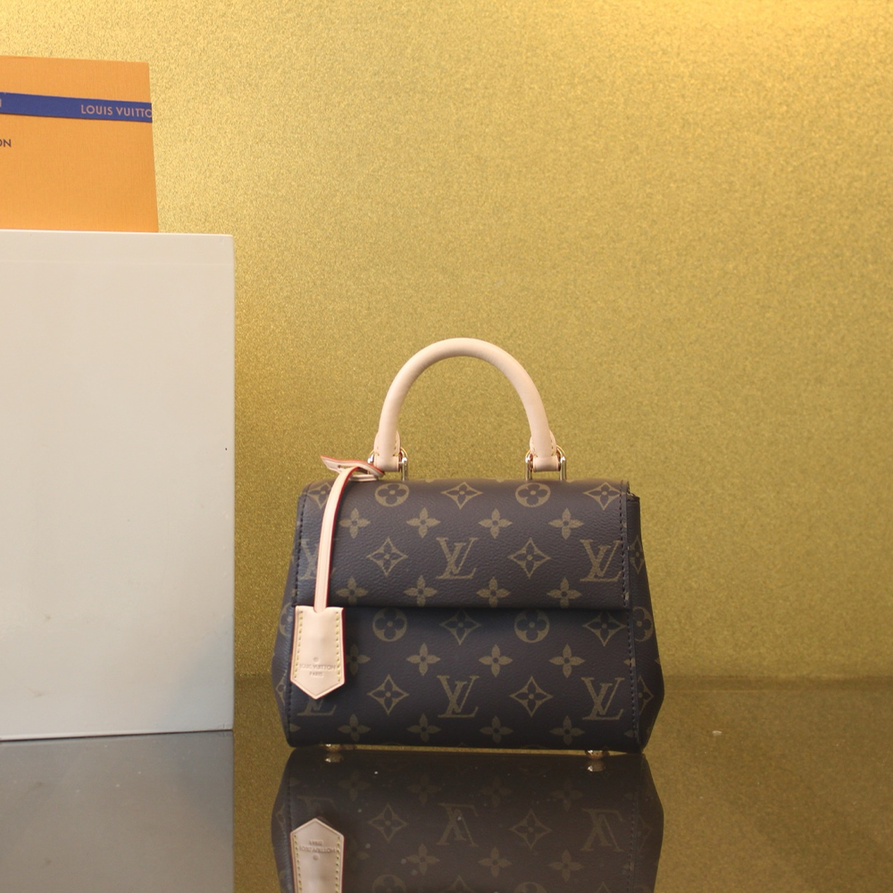 루이비통 클루니 미니 모노그램 M46055