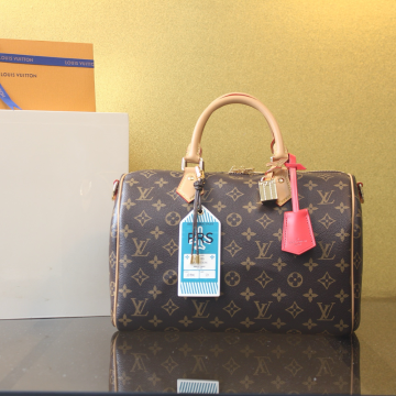 루이비통 스피디 소프트 30 크래프티 모노그램