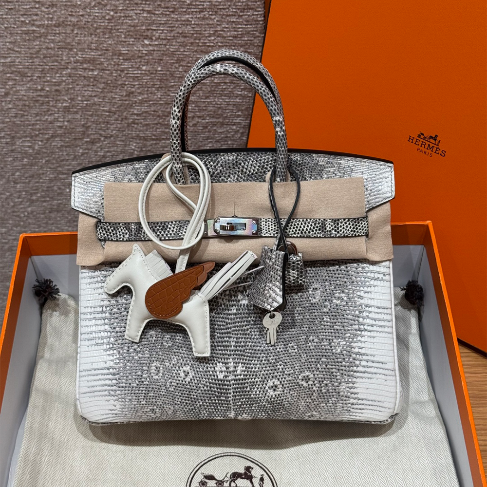 올수공 에르메스 버킨 25 1B/Ombre 리자드 가죽 실버 하드웨어