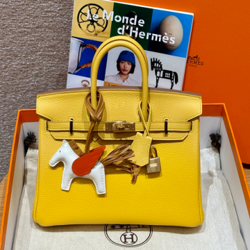 올수공 에르메스 버킨 25 9R/Lime 토고 가죽 골드 하드웨어