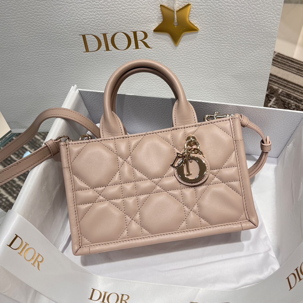 디올 북 토트 미니 백 데저트 토프 매크로까나쥬 송아지 가죽